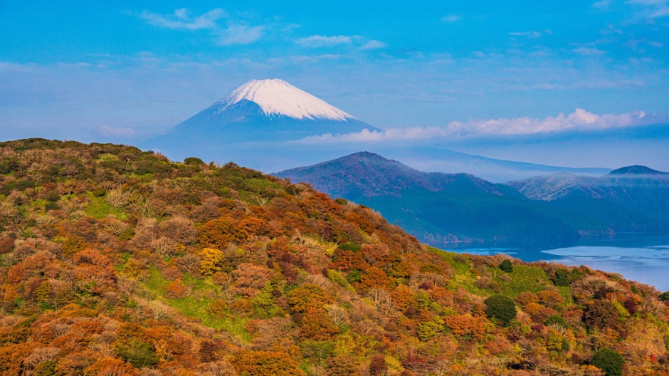 箱根の紅葉