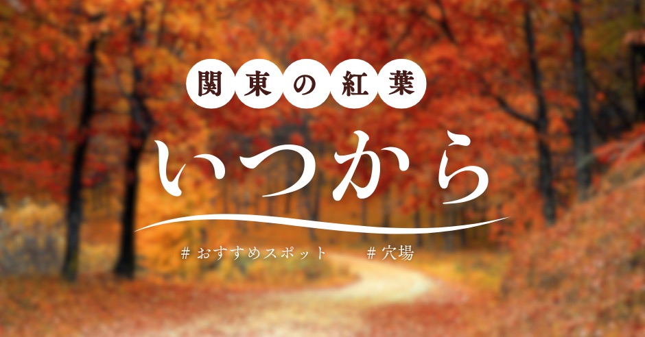 関東の紅葉はいつから？2025年最新見頃情報！おすすめスポットや穴場ものアイキャッチ画像