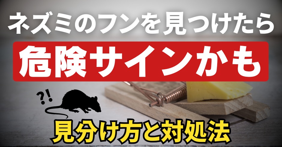 ねずみのふんを同じ場所で見つけたら？危険サインかも！？見分け方と対処法！のアイキャッチ画像