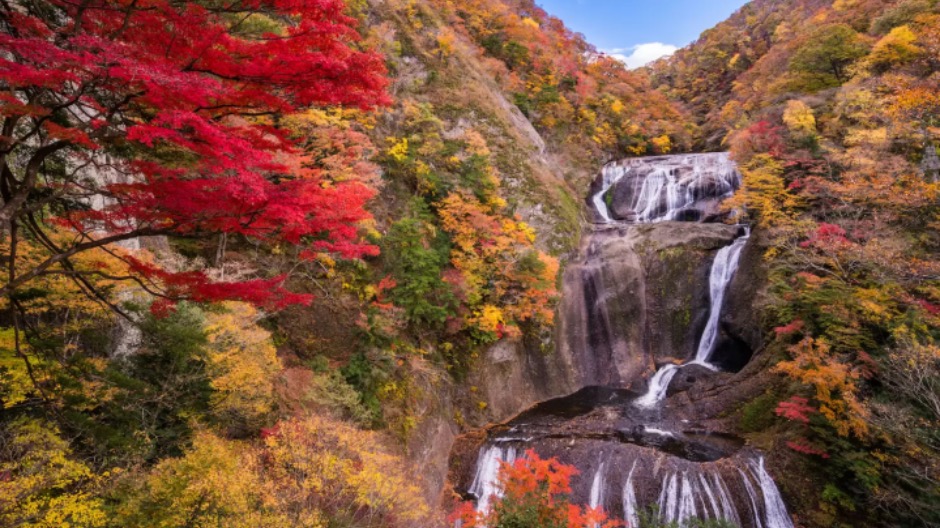 袋田の滝の紅葉
