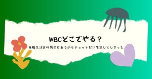 WBCどこでやる？無職生活は時間だけあるからチョットだけ贅沢してしまったのアイキャッチ画像